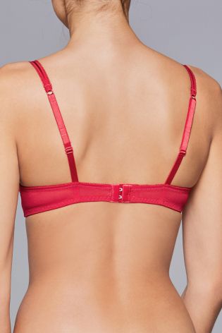 Red Cara Mesh And Lace Push Up Plunge Bra